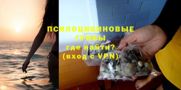 PSILOCYBIN Инта