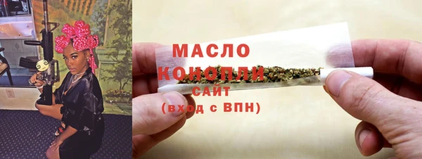 твердый Инсар