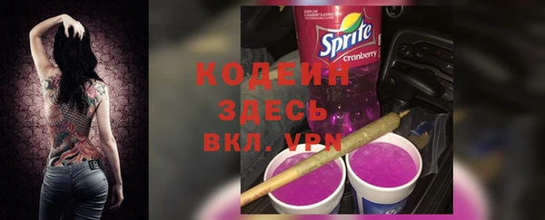 PSILOCYBIN Инта