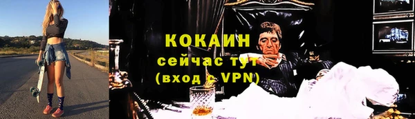 твердый Инсар