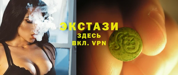 твердый Инсар