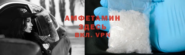 твердый Инсар
