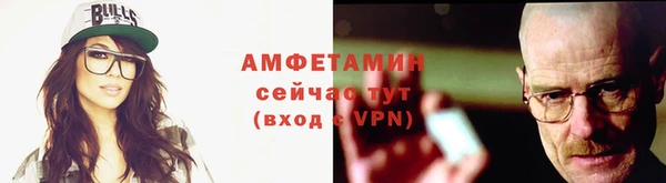 индика Иннополис