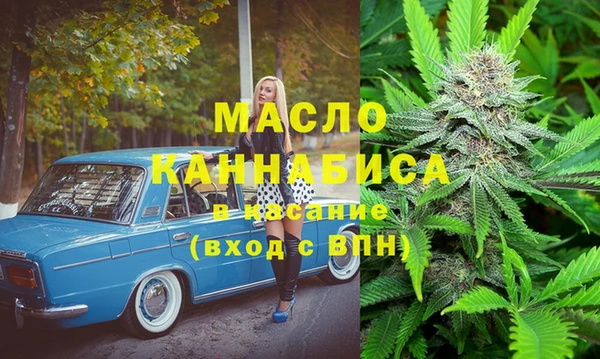 твердый Инсар