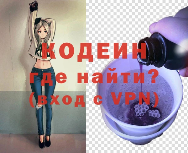 индика Иннополис
