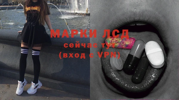 индика Иннополис