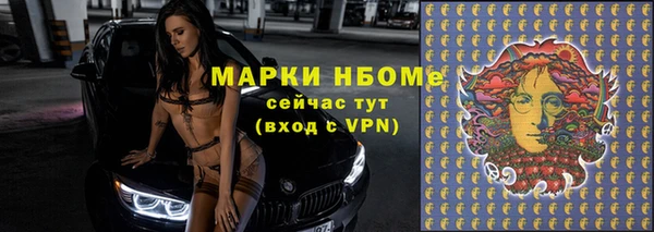 твердый Инсар