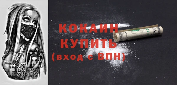 PSILOCYBIN Инта