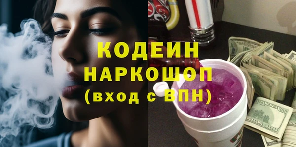 индика Иннополис