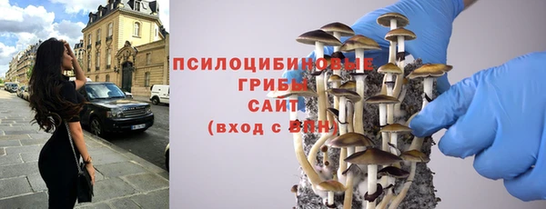 твердый Инсар